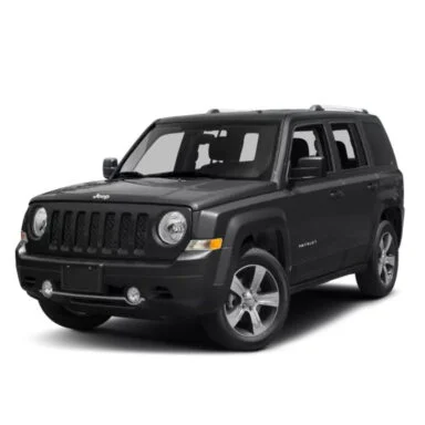 PATRIOT 2009–2017