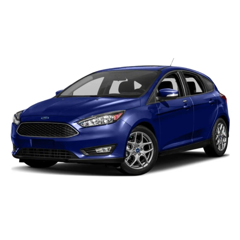 FOCUS 2019>