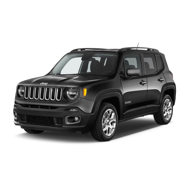 RENEGADE 2015-2019