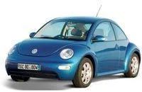 BEETLE 2012-2018