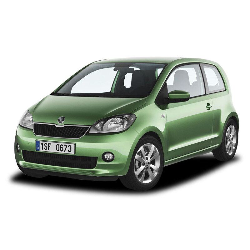 CITIGO 2011 →
