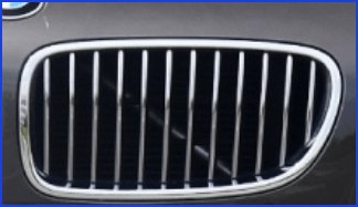bizzar_bc_bmf08-12-grille-can-not-install